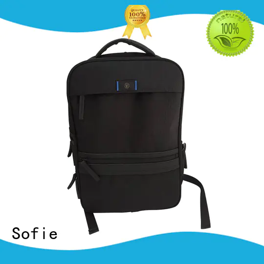 Sofie multi-functional laptop backpack supplier for office