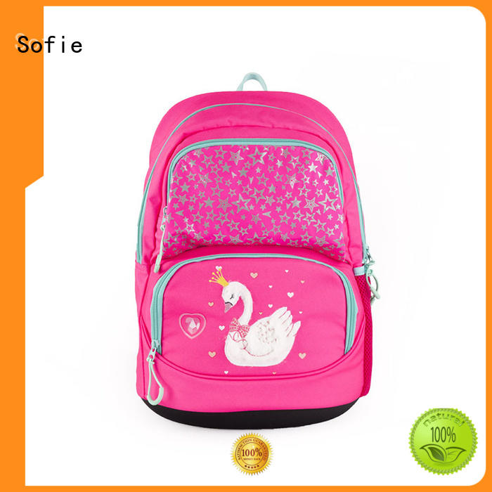polyester school backpack wholesale for children