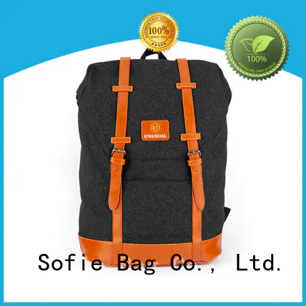back pocket laptop backpack customized for business