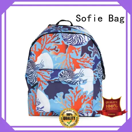 Sofie school bags for boys customized for students