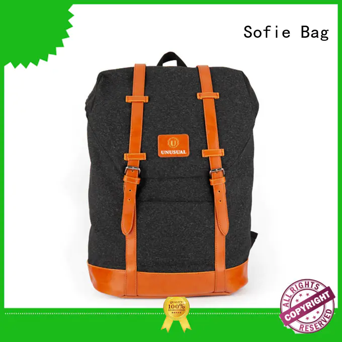 Sofie casual backpack wholesale for travel