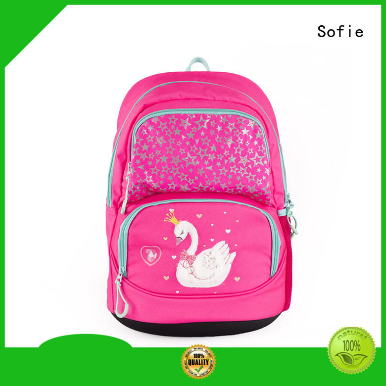 polyester school bags for girls manufacturer for students
