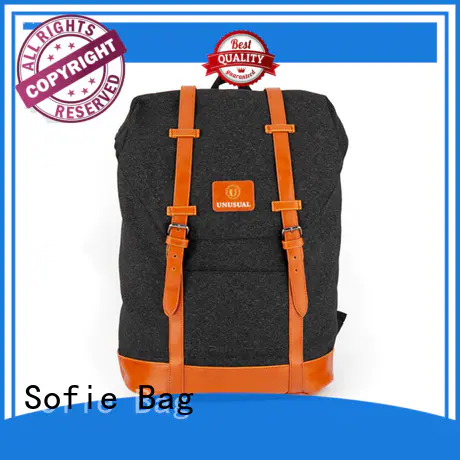 Sofie large capacity classic backpack personalized for school