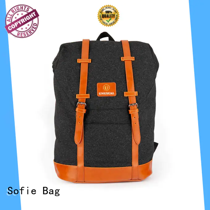 Sofie modern trendy backpacks for business