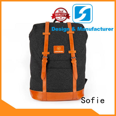 two zipper side reflective backpack wholesale for school