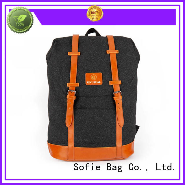 Sofie PU leather handle stylish backpack manufacturer for travel