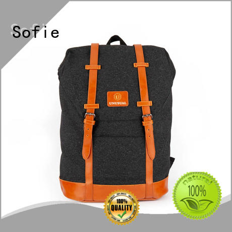 laptop backpack wholesale for business Sofie