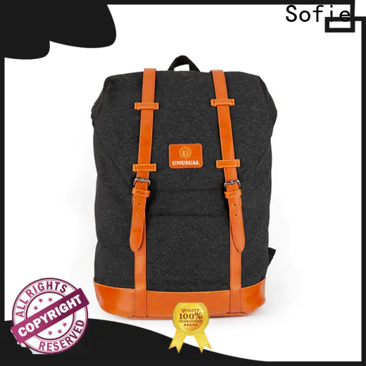 Sofie large capacity canvas backpack supplier for college