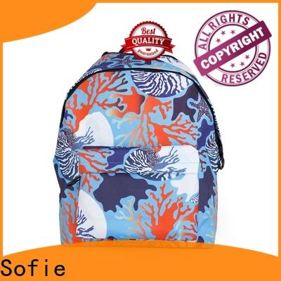 ergonomic shoulder strap students backpack wholesale for packaging