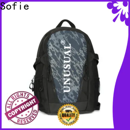Sofie mini backpack wholesale for college