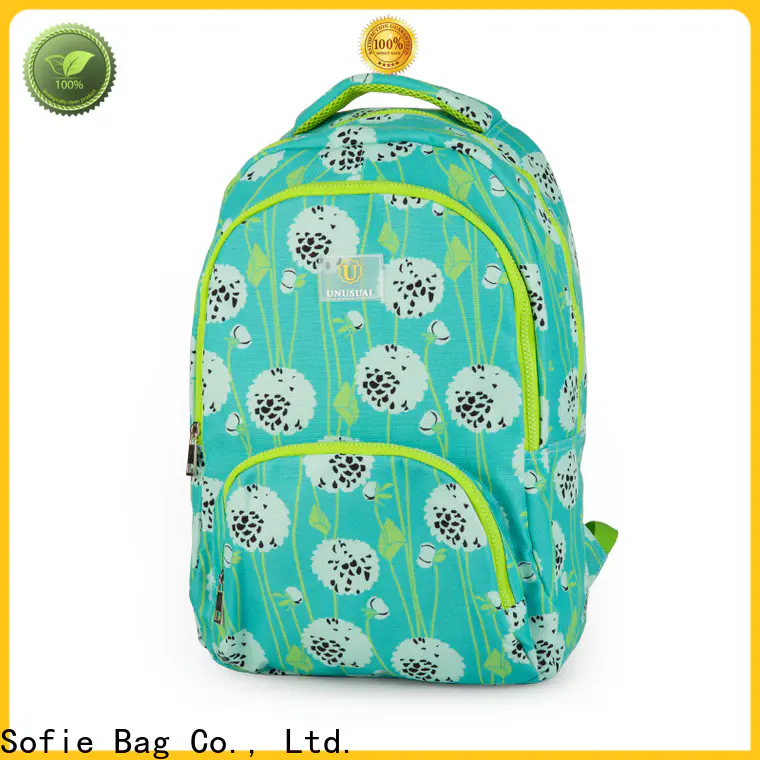 large capacity school bags for boys customized for kids