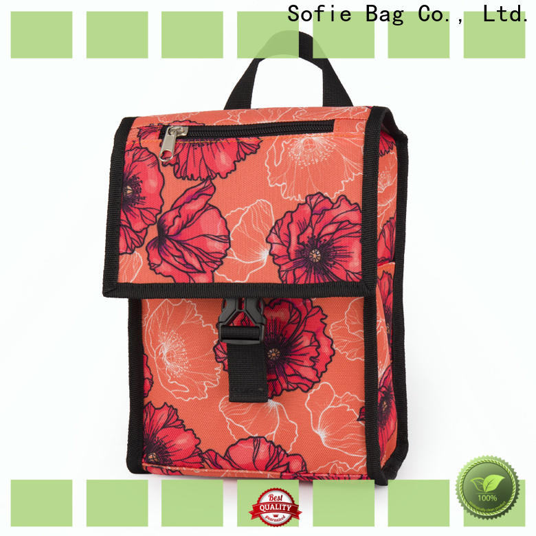 Sofie insulated lunch bags company for students