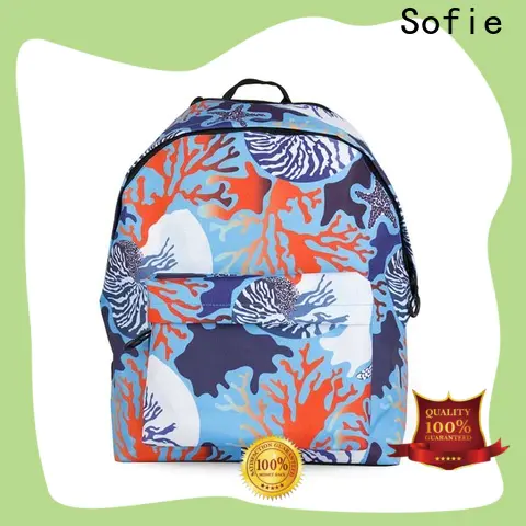 Sofie school bag series for students