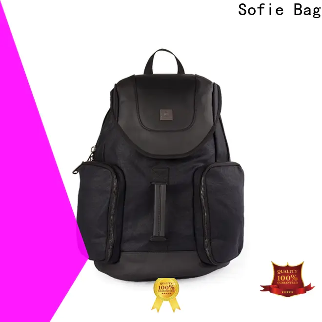 Sofie long lasting laptop backpack manufacturer for travel