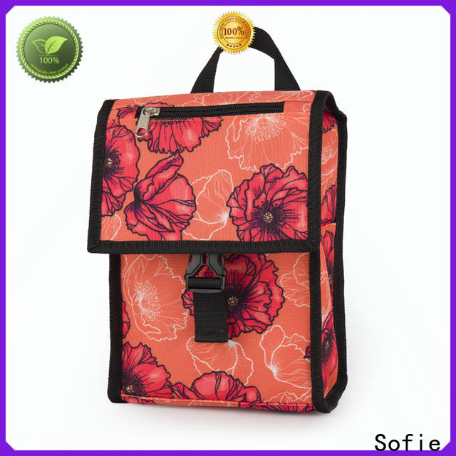 new insulated cooler bags with good price for students