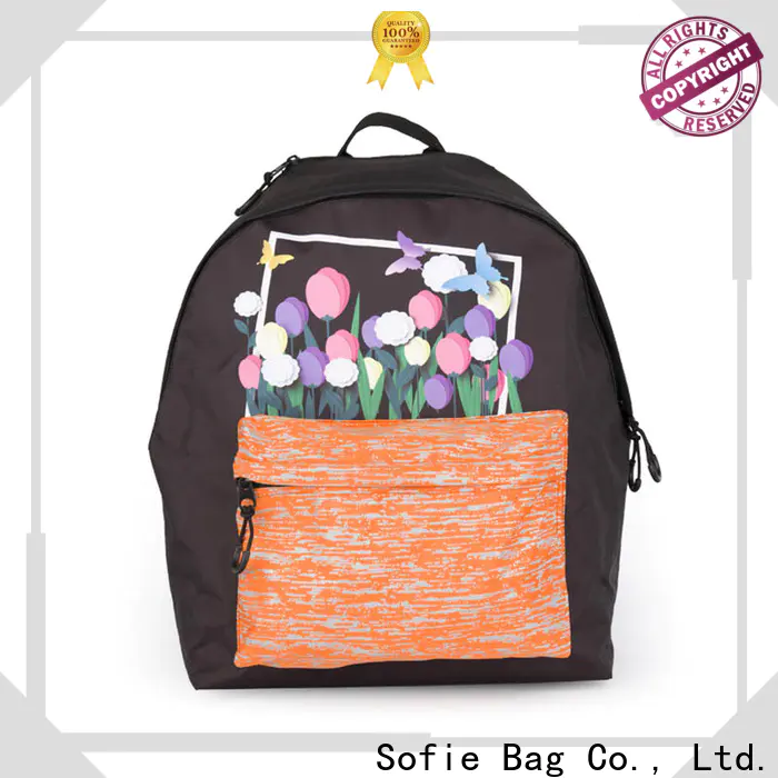 fashion school backpack wholesale for packaging