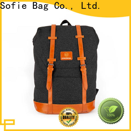 Sofie convenient canvas backpack supplier for school