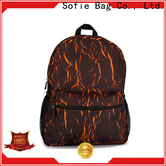 Sofie unique style laptop backpack supplier for school