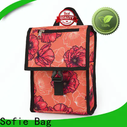Sofie insulated cooler bags manufacturers for packaging