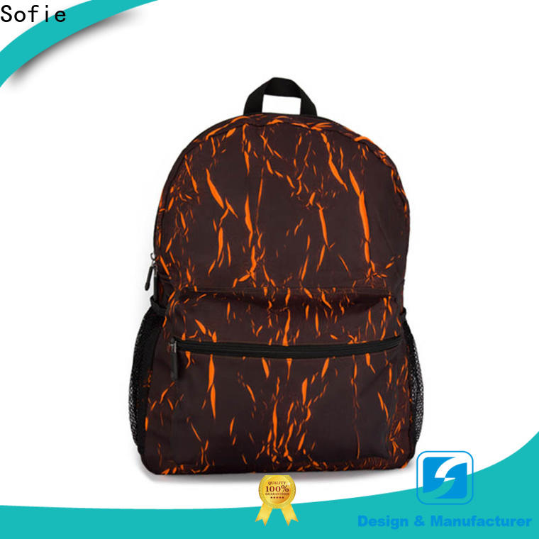 Sofie convenient casual backpack manufacturer for travel