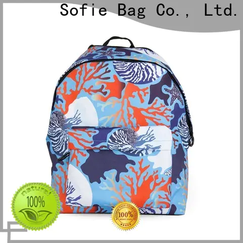 with TPU reflective hat school bags for kids wholesale for students