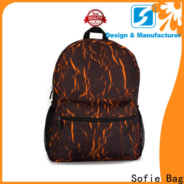 Sofie laptop backpack wholesale for business