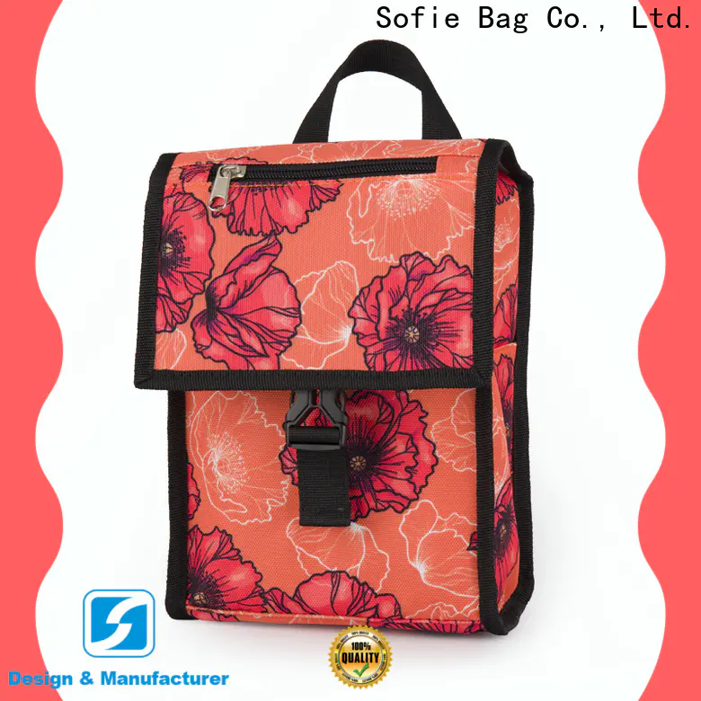 Sofie OEM best insulated lunch bag company for packaging