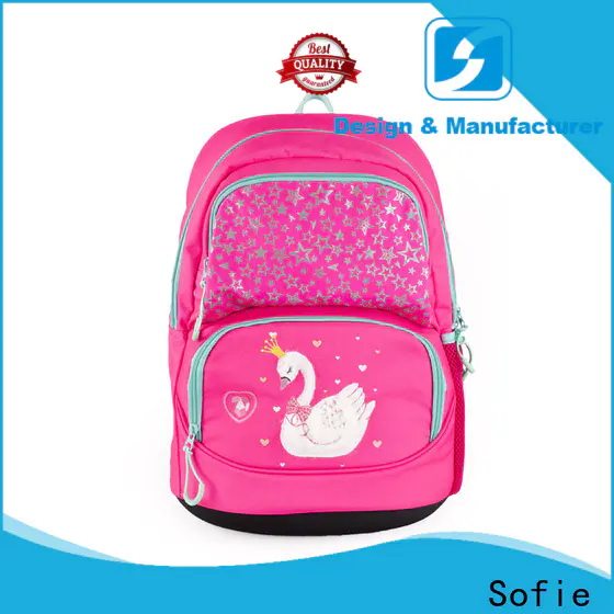 Sofie students backpack customized for kids