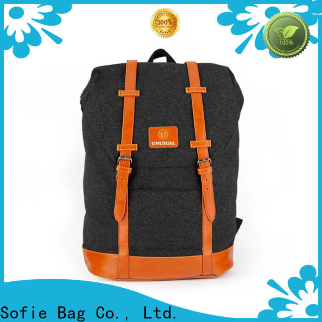 Sofie casual backpack customized for college