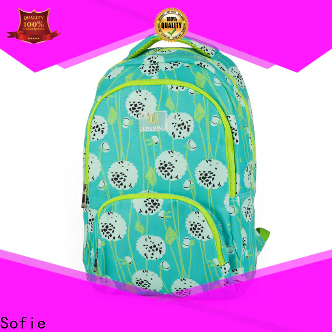 Sofie with TPU reflective hat students backpack wholesale for packaging