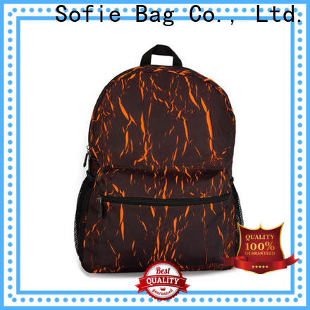 Sofie PU leather handle cool backpacks personalized for college