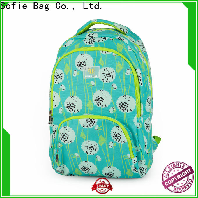 large capacity school bags for boys series for children