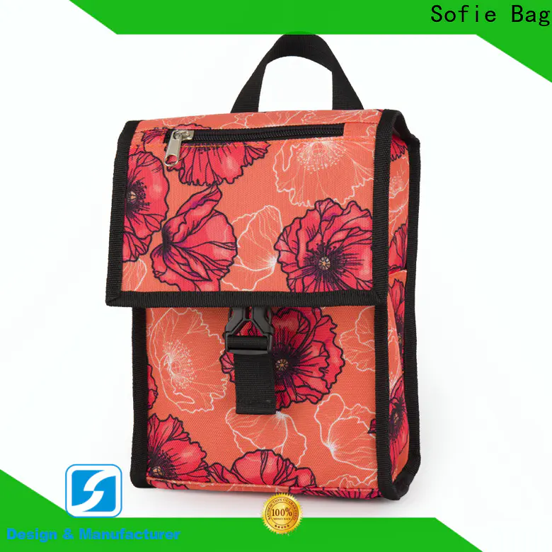 ODM insulated cooler bags company for children