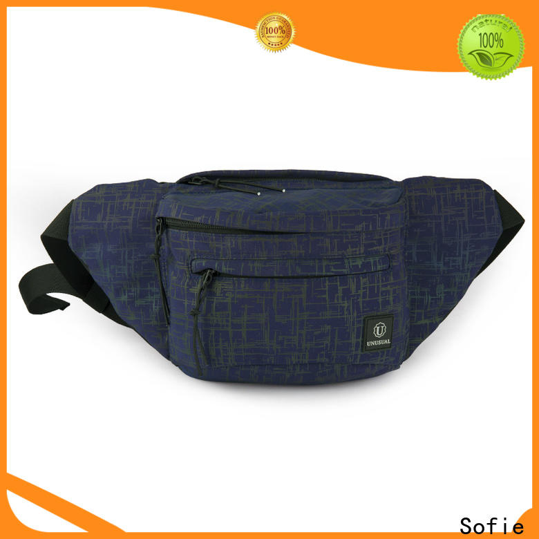 Sofie trendy waist pouch for jogging
