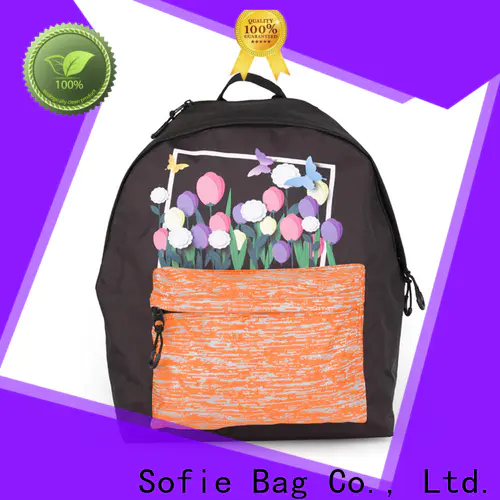 Sofie polyester school bag series for students
