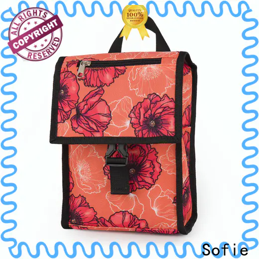Sofie ODM insulated cooler bags supply for children