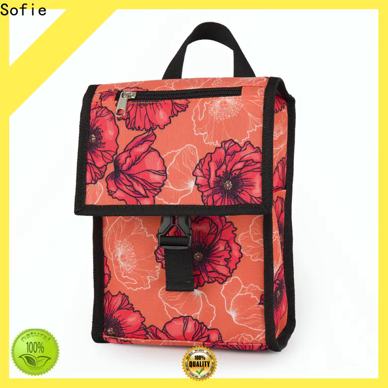 Sofie custom insulated lunch bags factory for packaging