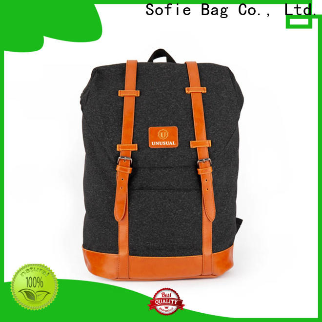 Sofie convenient stylish backpack supplier for travel