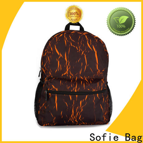 Sofie modern sport backpack wholesale for business