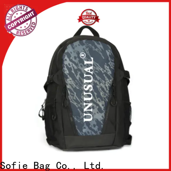 Sofie back pocket laptop backpack wholesale for business