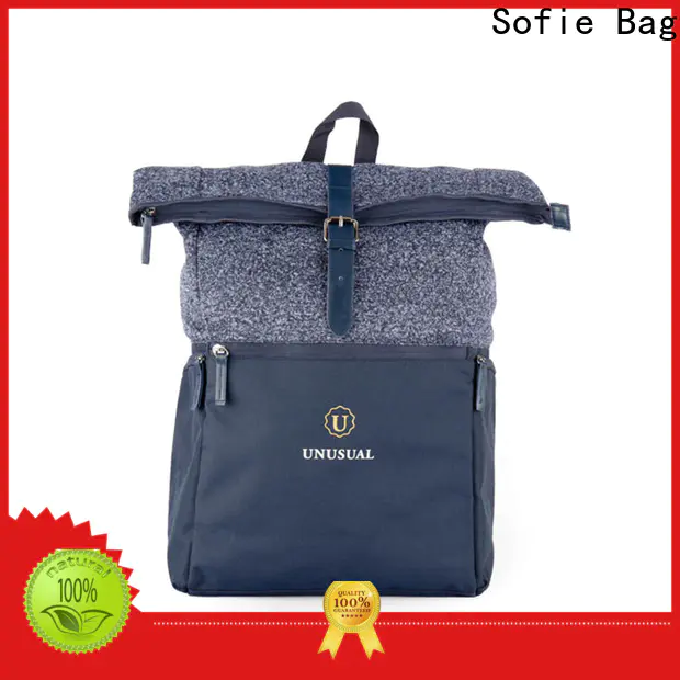 creative stylish backpack wholesale for college