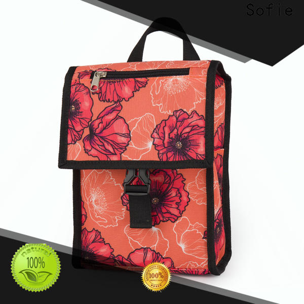 Sofie best insulated lunch bag manufacturers for kids