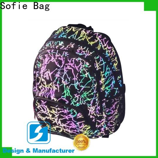 Sofie ergonomic shoulder strap school bags for boys series for kids