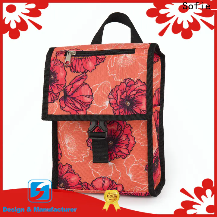 Sofie insulated cooler bags with good price for students