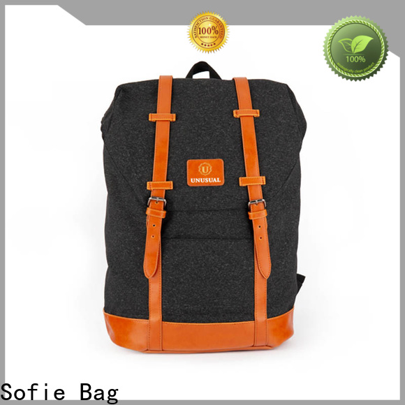 Sofie PU leather handle laptop backpack supplier for college