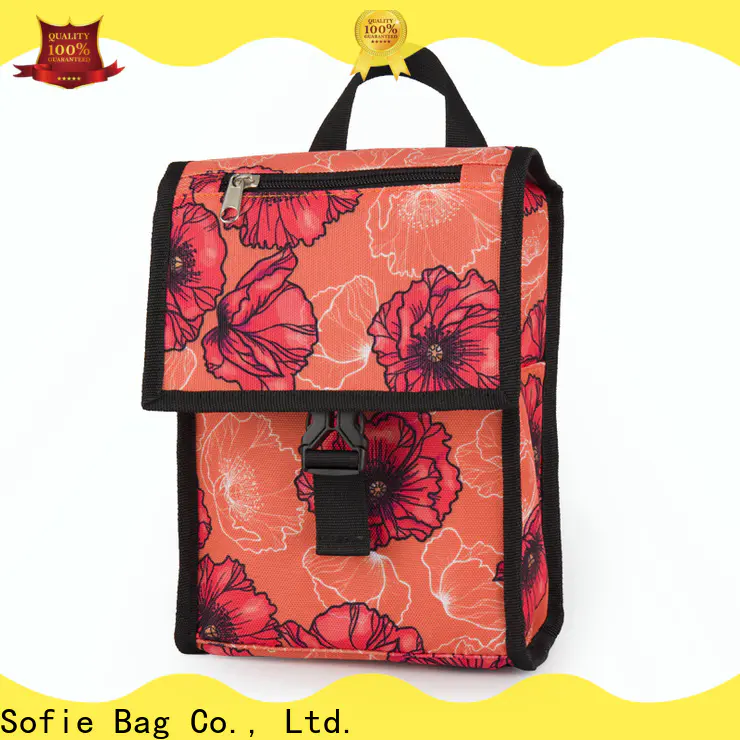 Sofie best insulated lunch bag with good price for children
