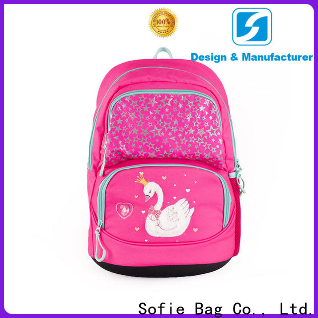 convenient school bags for girls wholesale for packaging