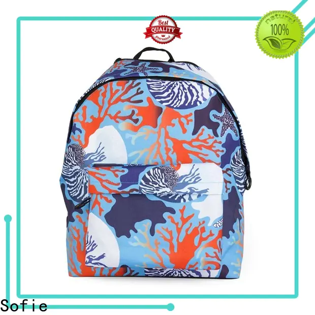 Sofie school bags for boys manufacturer for children