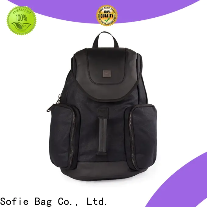 convenient classic backpack wholesale for business