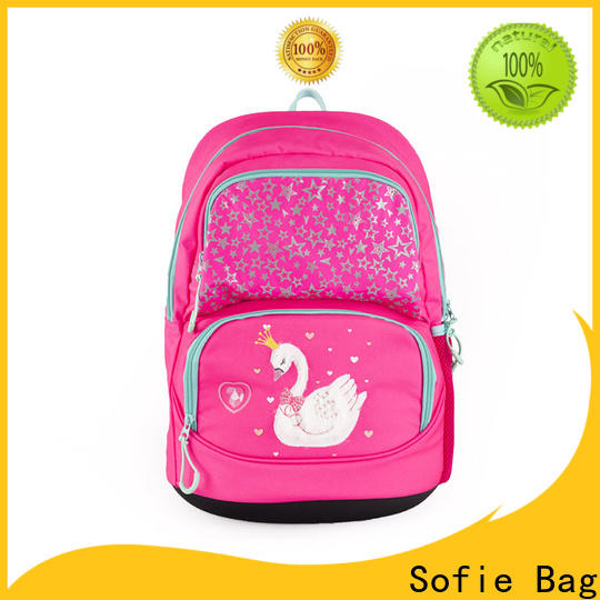 Sofie good quality school bags for boys customized for packaging